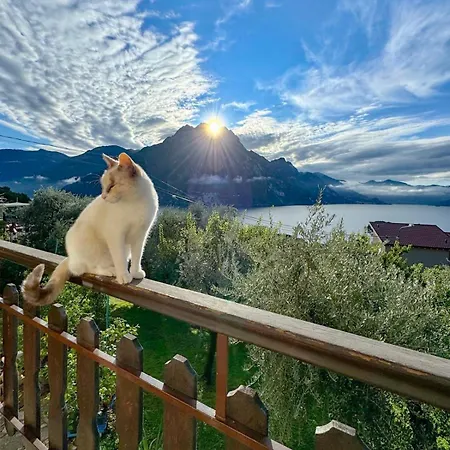 Casa Verenice Riva di Solto