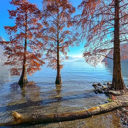 Casa Verenice Riva di Solto